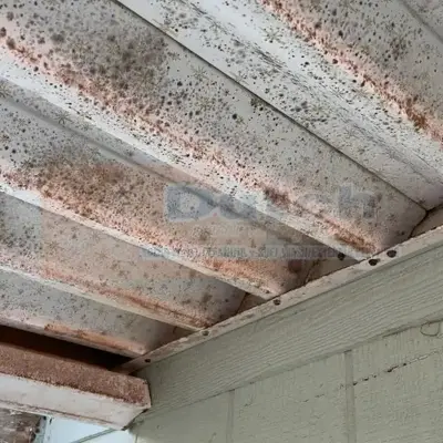 After Mold Removal in San Luis Obispo County Image