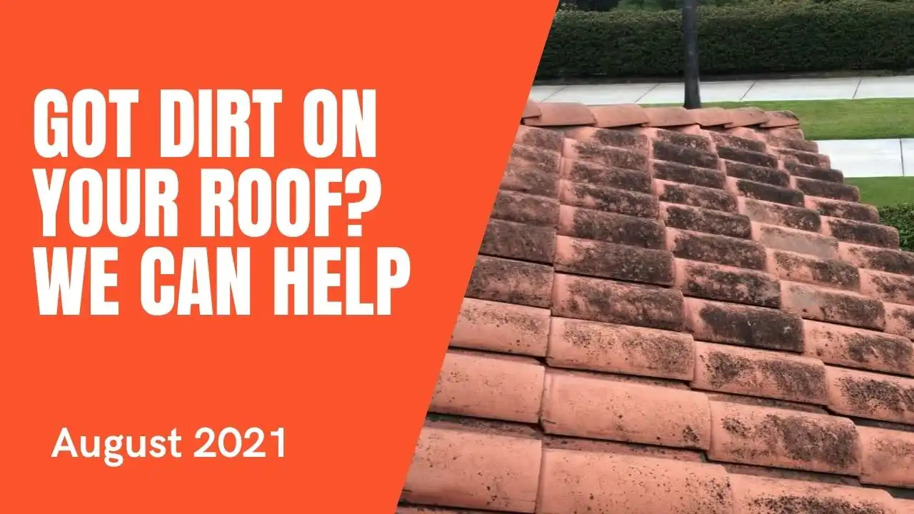 i-have-mold-on-my-roof-how-do-i-get-rid-of-it