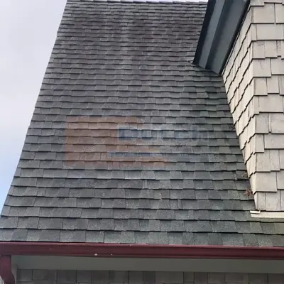Roof Cleaning in San Luis Obispo County before image 2